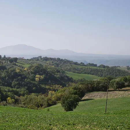 Cireneo Lugnano in Teverina