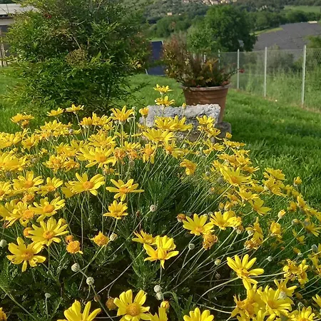Cireneo Alojamento de Acomodação e Pequeno-almoço *