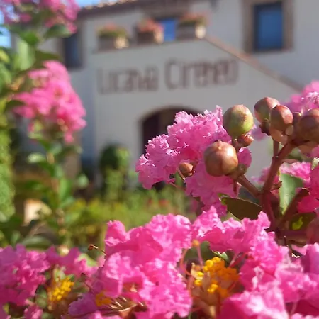 Cireneo Lugnano in Teverina